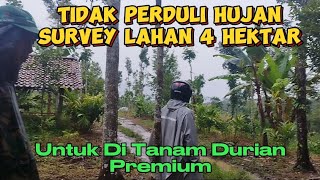 Download lagu SURVEY LAHAN EMPAT HEKTAR‼️Untuk di tanam durian premium mp3