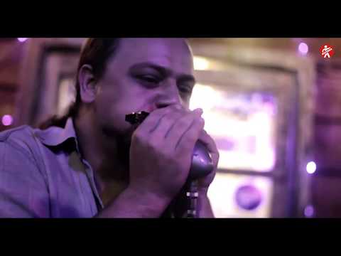 Little Will HOHNER artist - profile