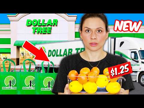 Dollar Tree Finds You NEVER Expect to Find in Store