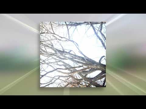 [SOLD] Glaive x Ericdoa x brakence - Pop/Hyperpop Type Beat