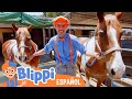 Granja De Danny Para Necesidades Especiales Aprende Con Blippi Videos Educativos Para Niños