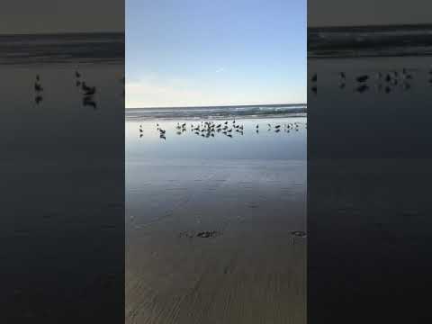 Enjoying the beach to ourselves