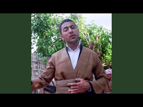 Sheikh Ebdulsalam Barzani