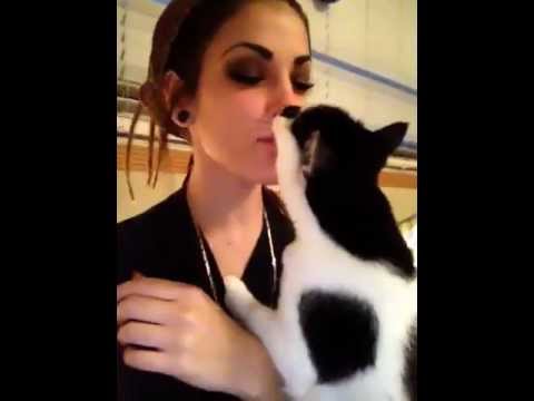 download lagu mp3 mp4 At Least My Cat Loves Me, download lagu At Least My Cat Loves Me gratis, unduh video klip At Least My Cat Loves Me