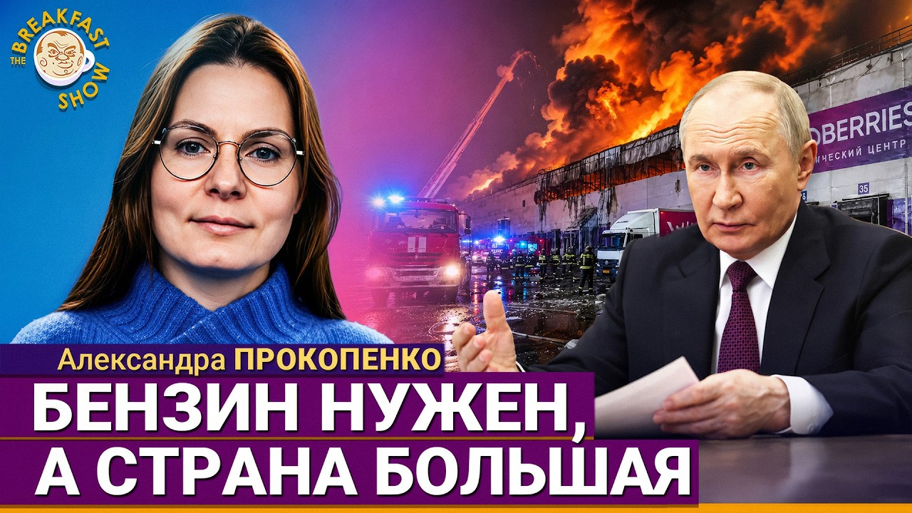 Путин спасёт Wildberries? | Александра Прокопенко на Breakfast Show
