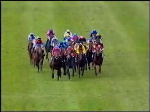 2003年ドイツ・ダービー　Dai Jin