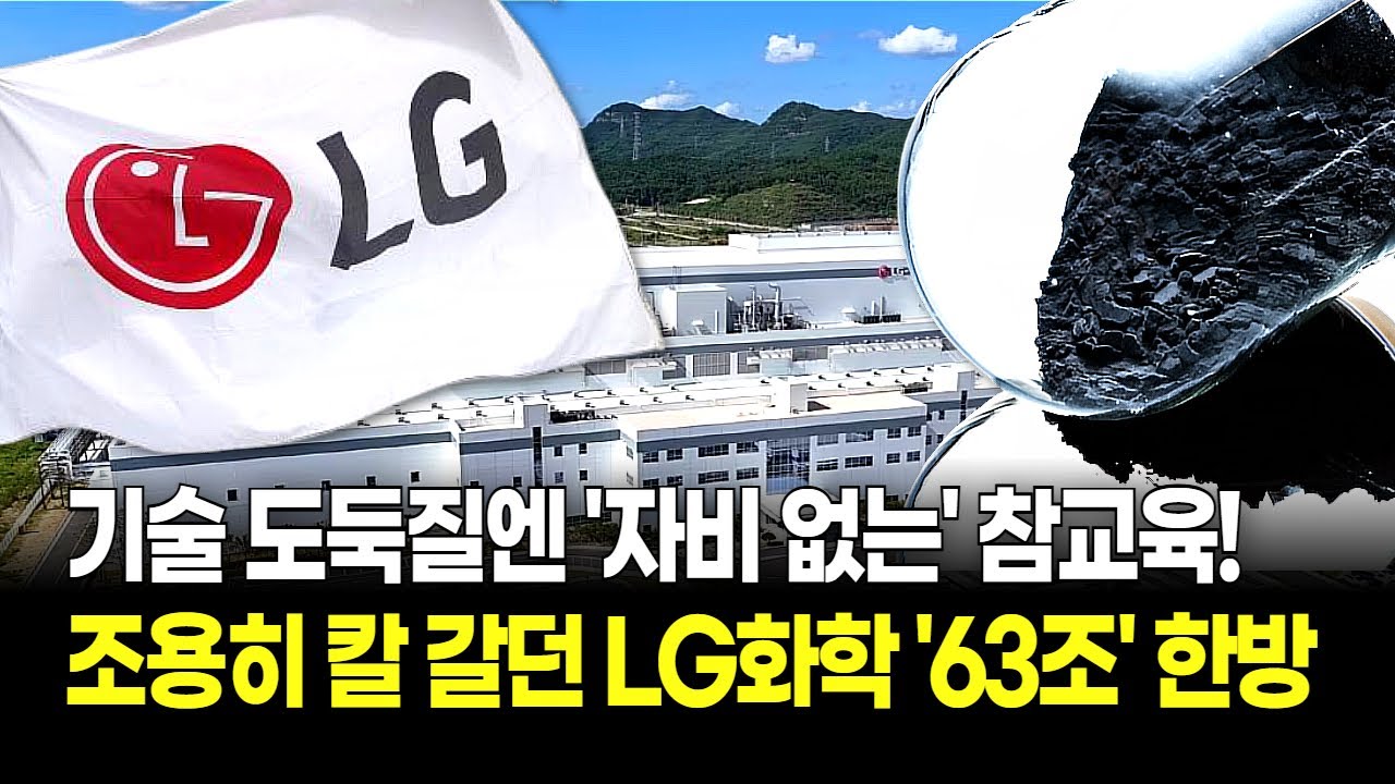 시진핑에 반기 들었다! LG화학, 중국 '특허 침해' 목줄 잡고 참교육! 전기차 78만 대분 몽땅 판매 중단