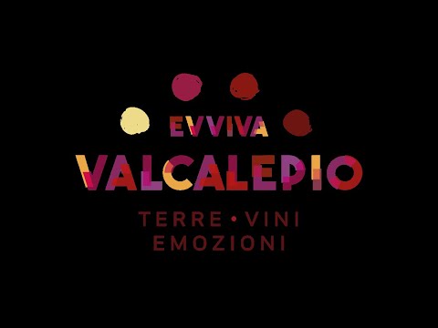 Evviva Valcalepio 2024