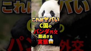 ㊗️10万再生！パンダは可愛いけど… #政治 #自民党 #パンダ #外交