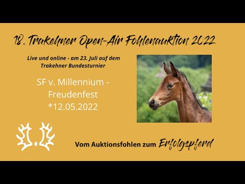 Kat.-Nr.3 SF v. Millennium - Freudenfest