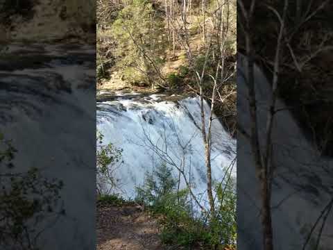 Cane Creek Falls