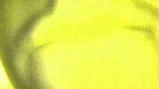 Weird Al Yankovic-Green Eggs and Ham