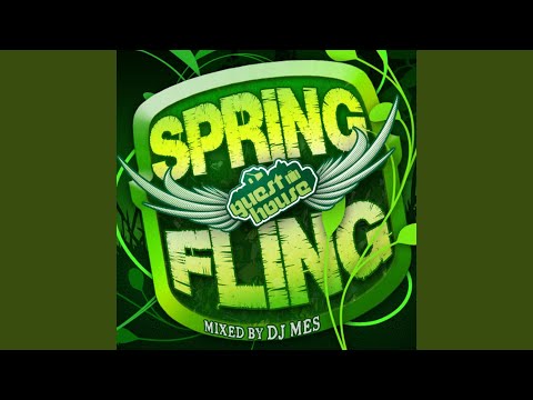 Spring Fling Mixed By DJ Mes (Original Mix)