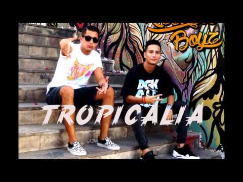 Tropicalia - Reckless Boyz