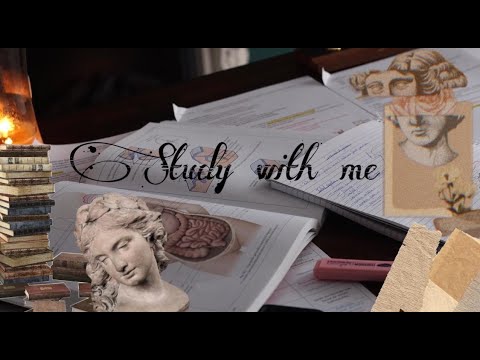 Study with me - 30 minute timer || Dark Academia