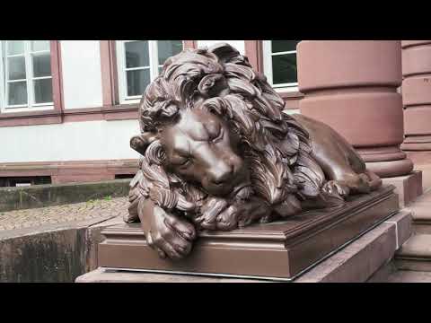 Schloss Philippsruhe in Hanau mit Bienen freundlichen Pflanzen   4K
