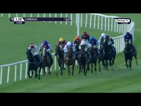 The Staffordstown Stud Stakes Listed Race - Limiti Di Greccio