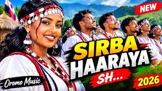 SIRBA HAARAYA  SHAGGOOYYEE  New Oromo Music 2026