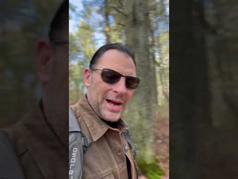 Does one forest in New England contain the most stone shaman prayer seats? Thousands of years old?