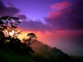 Abebe (Butterfly): Song from Papua New Guinea by ...