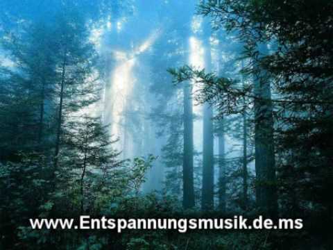 Entspannungsmusik Klavier Piano Relax Musik Entspannung