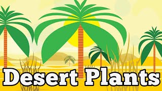 Desert plants | 10 desert plants | desert plants for kids | desert plants name in english