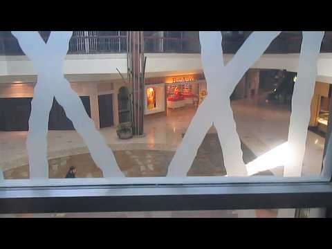 U.S. Hydraulic Scenic/Glass Elevator @ Fiesta Mall | Mesa, AZ