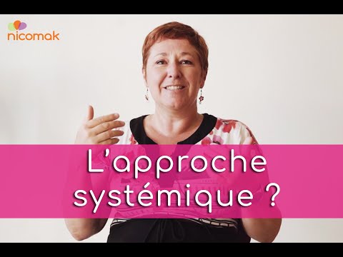 Qu'est-ce que l'approche systémique ?