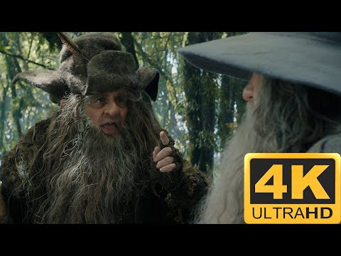 Radagast meets Gandalf! | The Hobbit - An Unexpected Journey 4K HDR