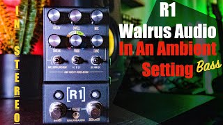 R1 Stereo Reverb Walrus Audio In An Ambient Setting W/ Microcosm+MOOD: Ambient Bass Meditation Music