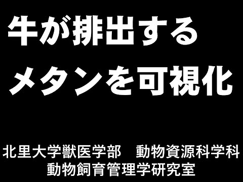 獣医学科 牛が排出するメタンを可視化