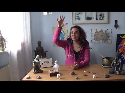 Der Krebs hat Krebs #26 - Der eine Krebs kann wieder laufen, der andere Krebs hat keine Chance mehr