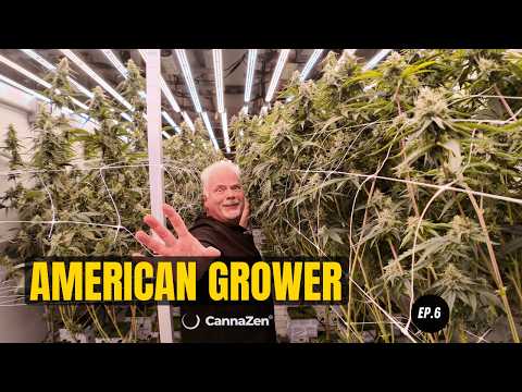 USA Weedland Indoor Facility: High-Tech Cannabis