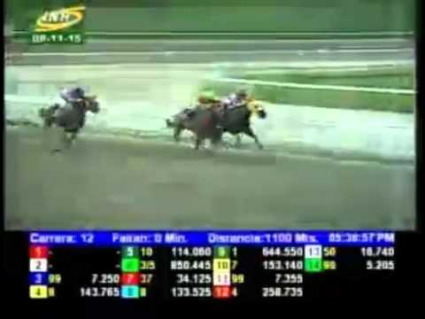 LA RINCONADA 12 CARRERA, DOMINGO 08 DE NOVIEMBRE DEL 2015