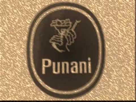 Ride the PuNaNi- Bagga Worries