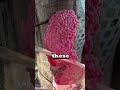 Make sure to CRUSH these eggs!