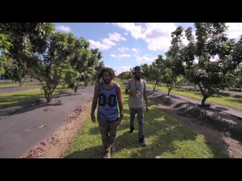 POSHLION - Lowaletta - Music Video