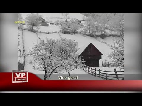 Vine gerul