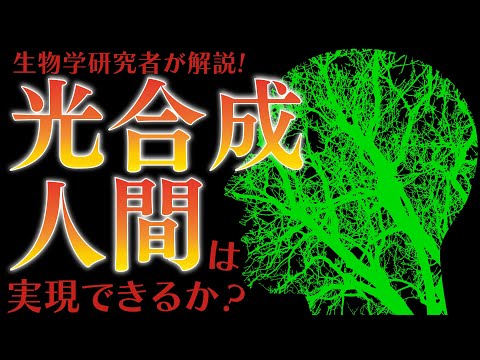 光合成:実際には何が起こっているのでしょうか? 自然と動物