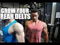 3 Rear Delt Exercises That ACTUALLY Work!