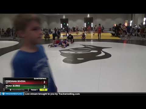 119 Lbs Quarterfinal - Ferdinan Rivera, TN Vs Noah Burke, NC 5584