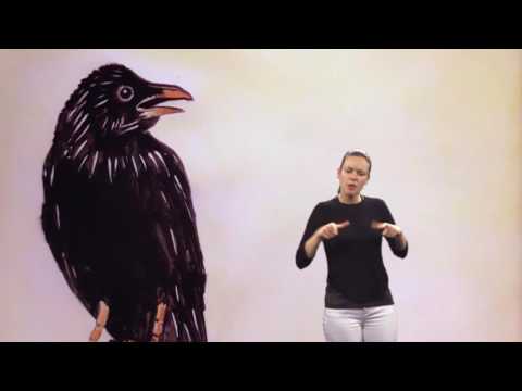 SUNCE DJEVER I NEVA NEVIČICA