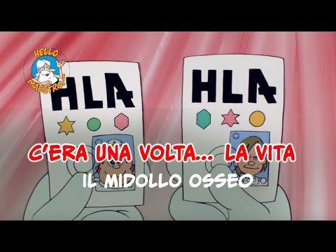 Siamo fatti così... la vita 🌱- Il midollo osseo
