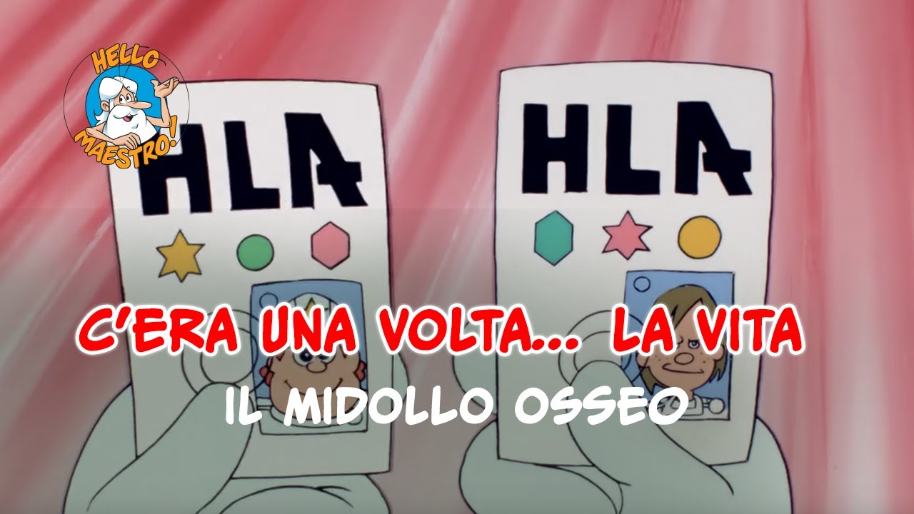 Siamo fatti così... la vita 🌱- Il midollo osseo