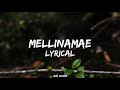 Mellinamae Mellinamea Cover Song Lyrics