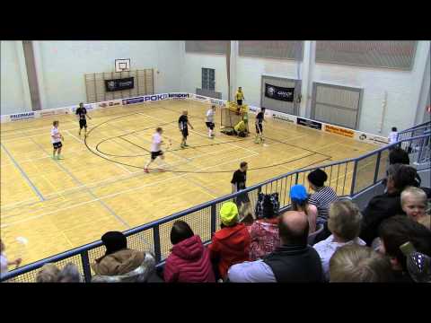 Coach Team-OuPa 10.1.2014 maalikooste