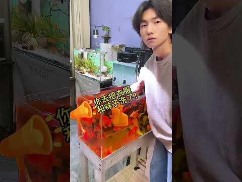 😲 Aquarium-க்குள் தவறி விழுந்த Tissue செய்த அதிசயம்! #AmazingTrick #short