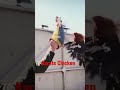 Karate Chicken Shortvideo Shorts Lol Wow Funny Funnyvideo Chicken Fighting