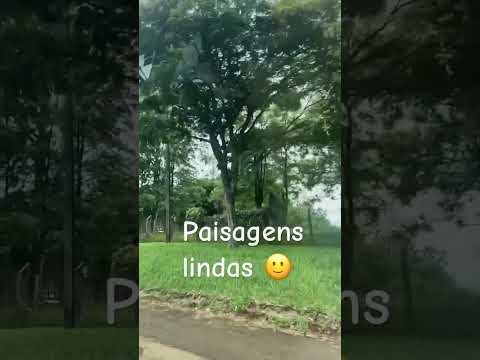 TAMARANA PR….19 de janeiro 2026…