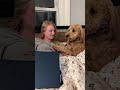 my dog gives me zero personal space！！！#dog #dogs #fouryou #funny #fnnyvideos